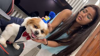 Jojo Ka Birthday Celebration