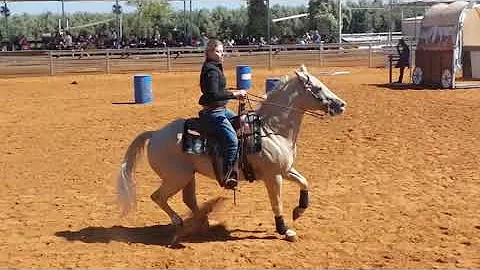 Sharon Sechtman with Lilo Exca Novice  11/05/2019