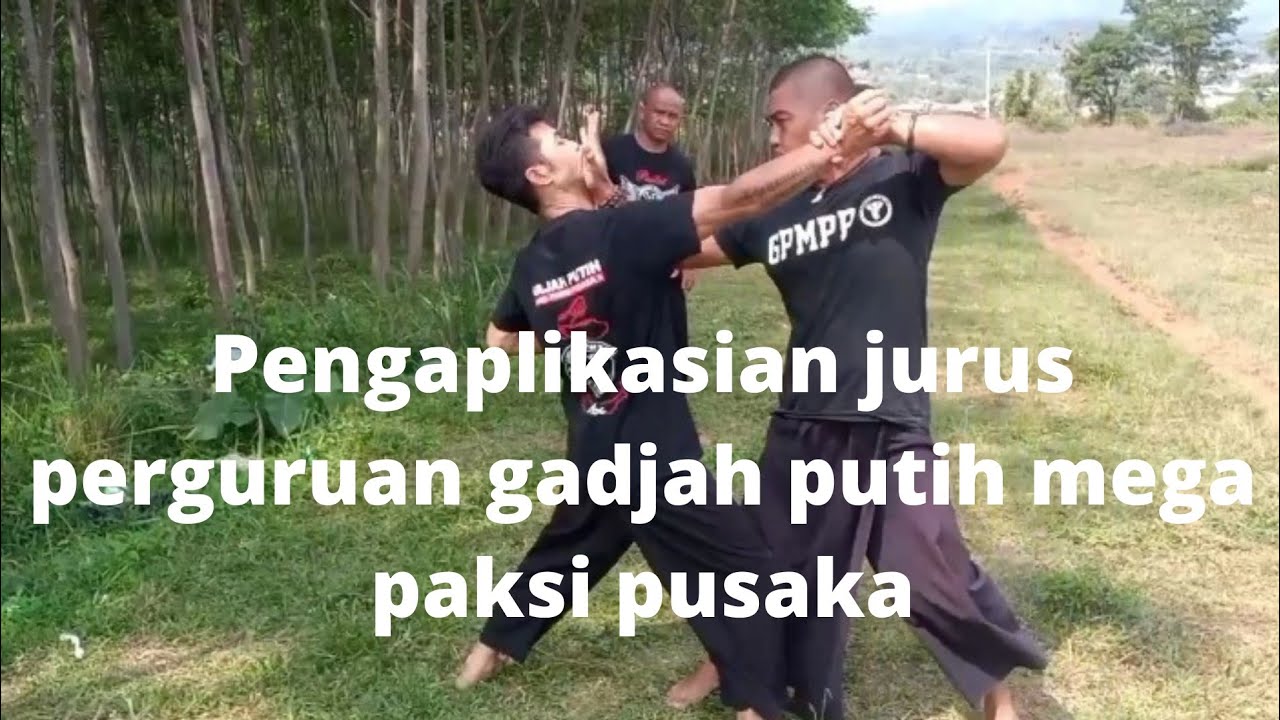 pengaplikasian jurus perguruan gadjah putih mega paksi pusaka