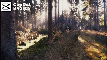 How to Create a Golden Glow Effect in CapCut