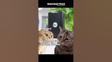 How to improve security? Know your location at all times. #gpstracker #gps #pets