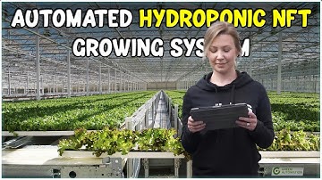 Fully Automated Hydroponic NFT Growing System