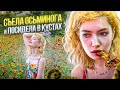 КИТАЙСКИЕ БУДНИ: съемка в кустах, осьминог, много аниме