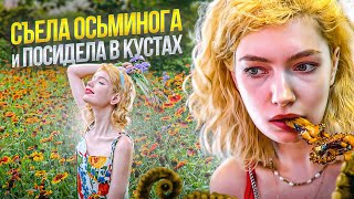 КИТАЙСКИЕ БУДНИ: съемка в кустах, осьминог, много аниме