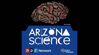 How the mind keeps active during the brain's “down time”