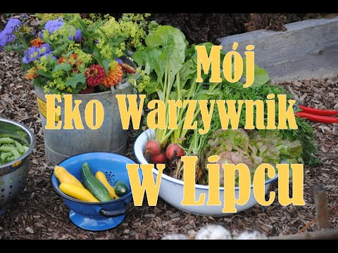 Wideo: O Czym Ogrodnik Powinien Pamiętać W Lipcu? Ogrodnictwo Sezonowe. Zdjęcie