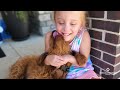 How Stem Cells for Cerebral Palsy improved Nora's Quality of Life