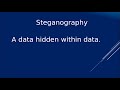 Master Steganography: Hide Your Messages Seamlessly in Images πΌοΈ