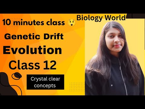 Genetic drift/Hardy Weinberg equilibrium/Evolution class 12 - YouTube