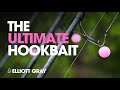 The ultimate hook bait elliott gray