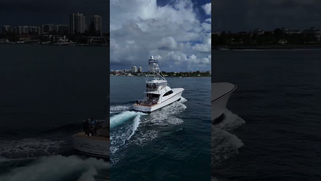 Missed your chance to experience them on the water? Your next opportunity is right around the corner