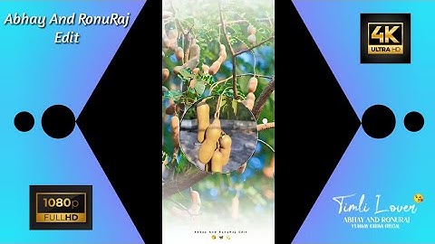 new timli status 2023 !! mahesh nargawa new timli status ghanshyam rathva new timli status #shorts