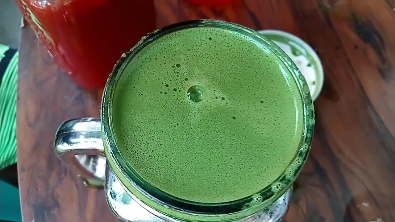 Paggawa ng Malunggay Fertilizer Oregano Insecticide YouTube