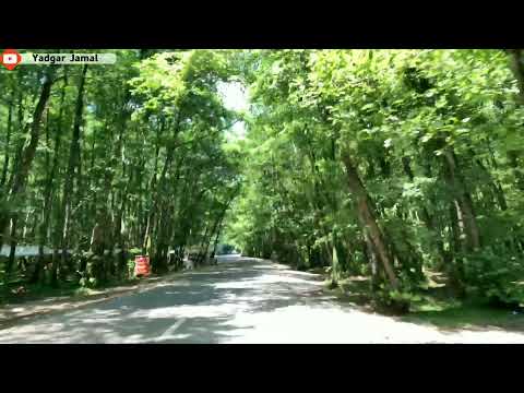 ایران شیمال تاڵش گیسیوم تاڤگەی ویسادار ٢٠١٩