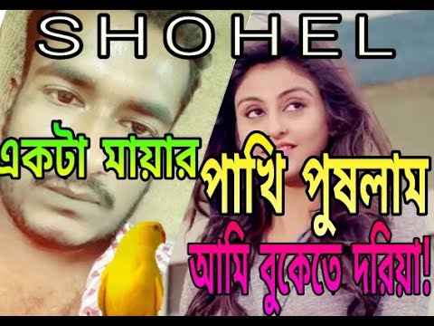 একটা মায়ার পাখি পুষলাম আমি,,,(akta Mayar Pakhi Puslam Ami)