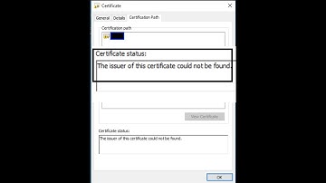 SSL certificate not trusted, even after importing CA cert to trusted root store in Windows machine