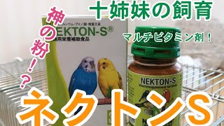 ネクトンS 　小鳥のビタミン剤　繁殖期に！