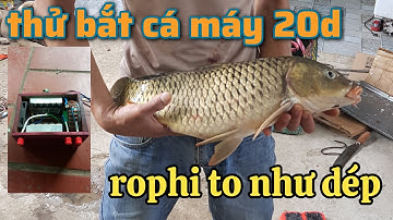 thực tế máy 20d lõi xuyến video khách gửi đánh tổng hợp tất cả loại cá .máy kích cá xuyến .kích cá