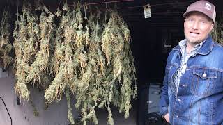 Alpenglow Farms - Regenerative Farming Tour