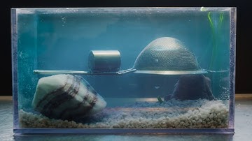 CO2 storage explained