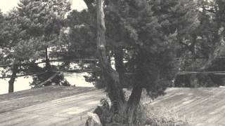 Borrowed Identity & Mechanical Soul Brother - All Night Long - Tenderpark 017