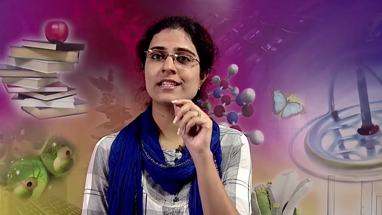 503 044 Standard Language