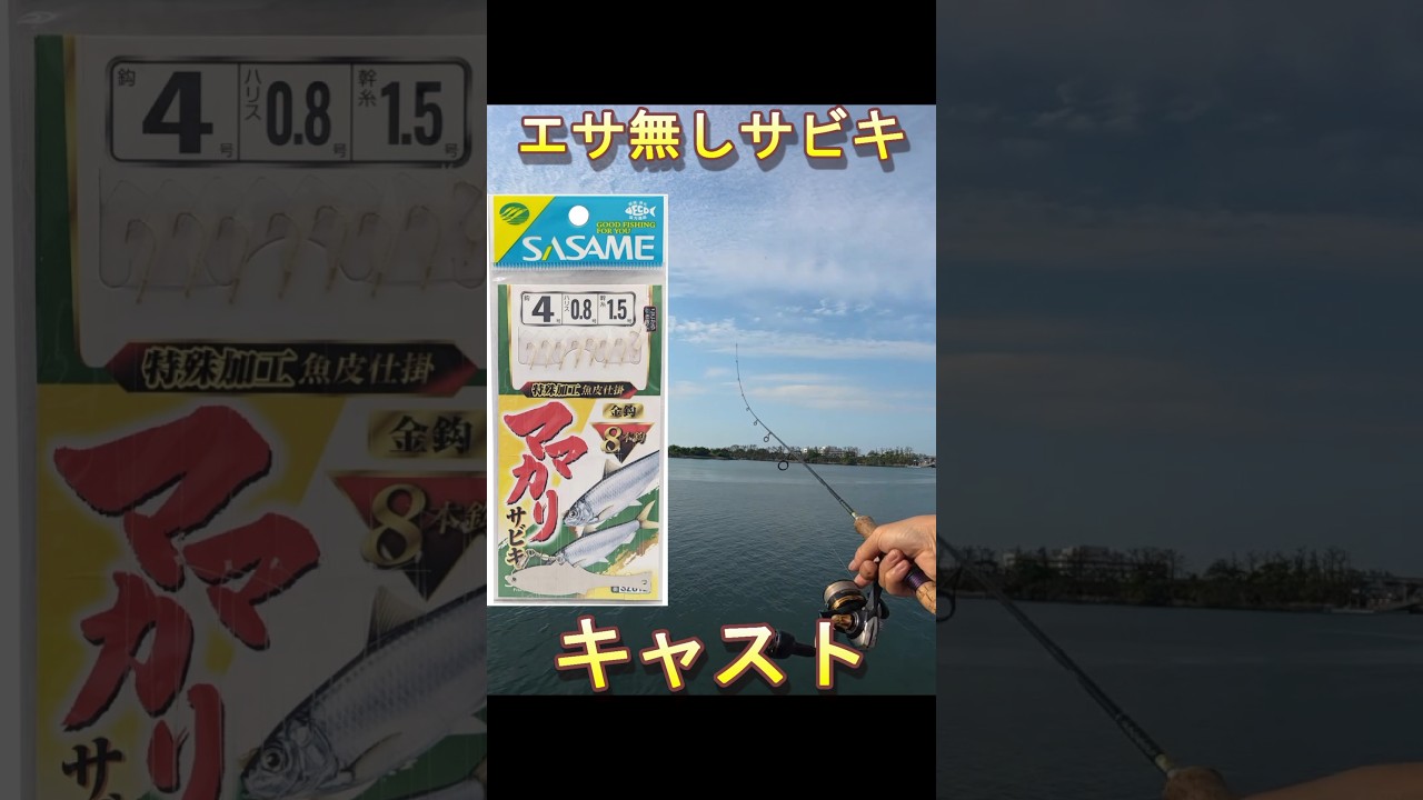 エサなし投げサビキ釣り