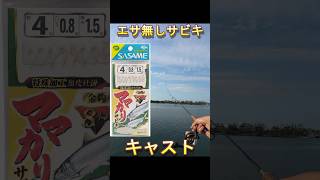 エサなし投げサビキ釣り