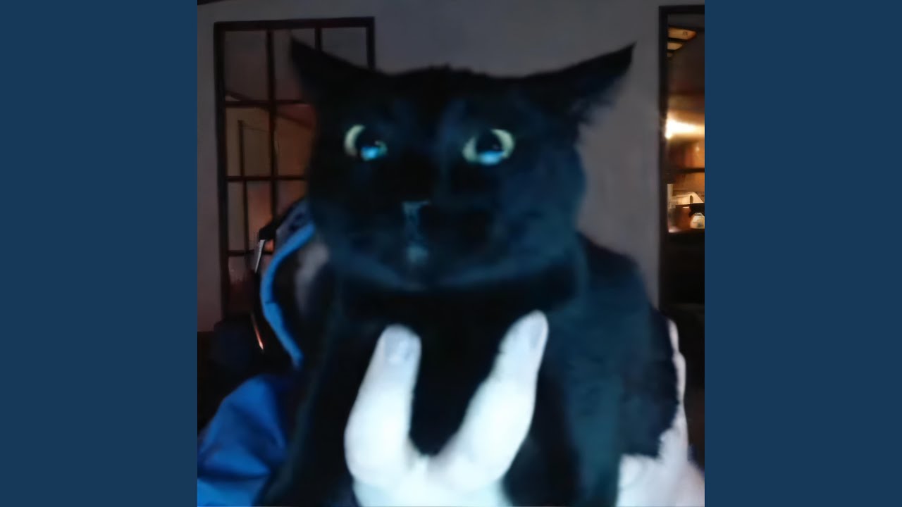 Watch CASEOH KITTY on YouTube Watch CASEOH KITTY on YouTube