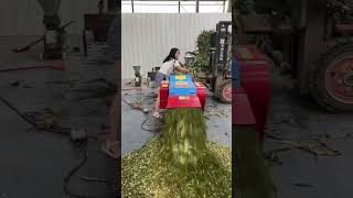 mashinka Calafka Xolaha Shiida kafaideso Macmil kasoo dalbo numbarka kor Saran Macmil