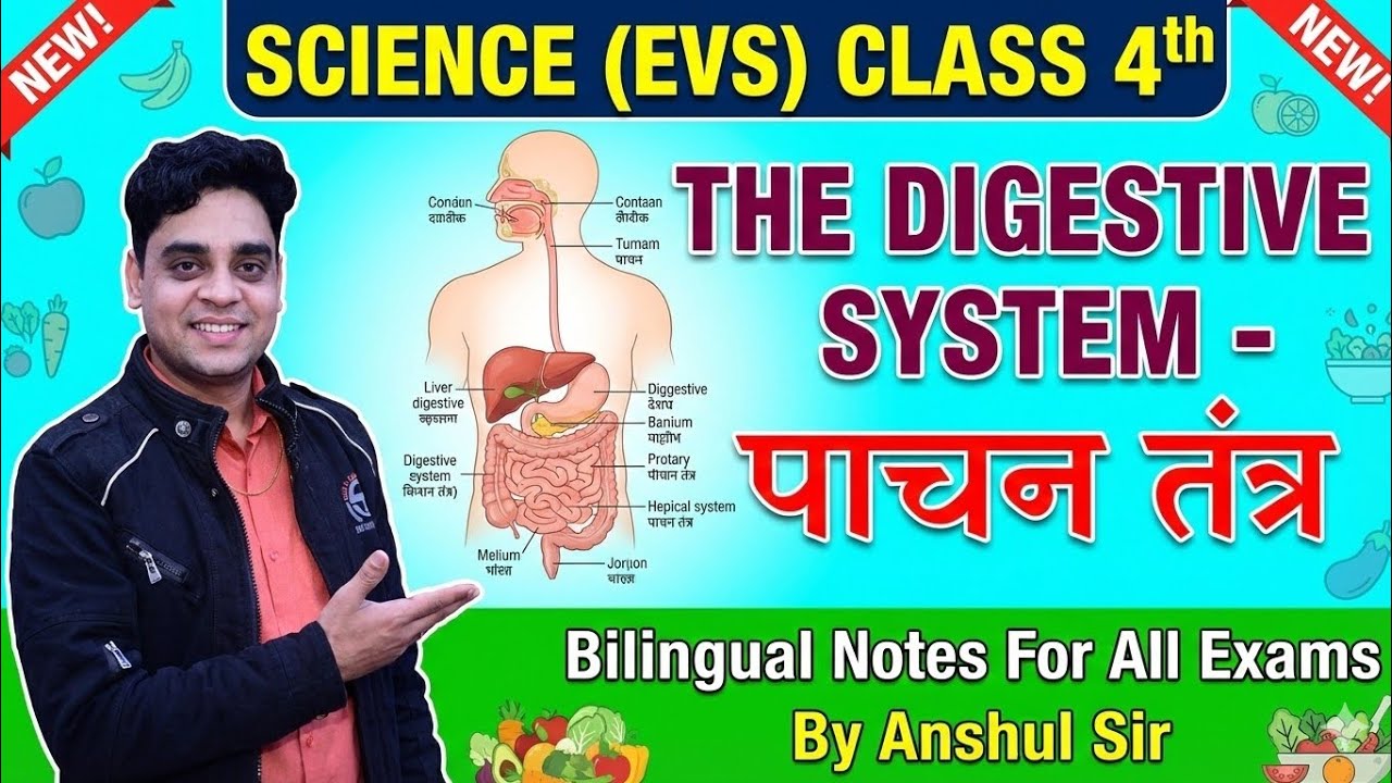 Digestive System Class 4 Science (EVS)🔥 Bilingual Notes | Complete Chapter by Anshul Sir