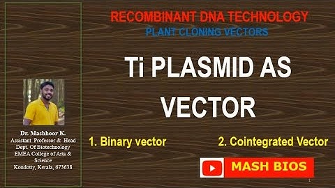 Ti Plasmid Vectors