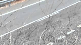 Carreteras de España en banca rota