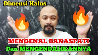 GETTING TO KNOW BANASPATI AND CONTROL FIRE ENERGY #banaspati #halusdimension