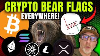 WARNING! Bear flags everywhere in CRYPTO! (What does this mean?)