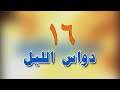 المسلسل البدوي دواس الليل الحلقة السادسة عشر 