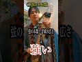 違う楽器なの！？チャップマンスティックとギターの違いについて。