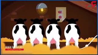 تبلیغ جنتلمن