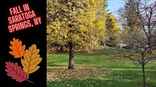 Fall Foliage in Saratoga Springs, NY 2022