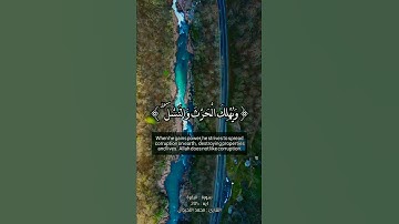 تلاوات خاشعه | من سورة : البقرة | ايه : 205 | بصوت : محمد اللحيدان