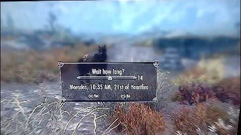 Skyrim bug entirely invisible character (no benefits)