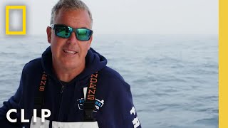 Fish or Shark? | Wicked Tuna | National Geographic