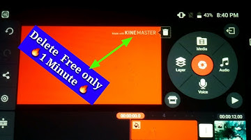 How To Remove kinemaster Water Mark ?How to delete watermark on video 2018-19 urdu /hindi