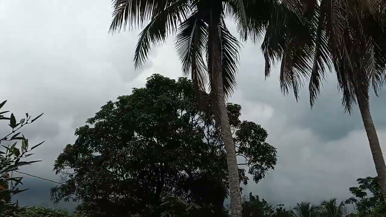 Прогноз погоды в тропиках на четверг, 16 октября 2025 г., в сельской местности Ямайки 🇯🇲.