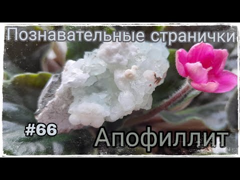 АПОФИЛЛИТ🦋 КАмЕнЬ АнгЕлОв💎☁️ Познавательные странички #66👼🏻