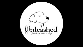 Unleashed Missoula, MT: How to create account/schedule reservation by Unleashed DDC MT 3 views 3 months ago 13 minutes, 46 seconds