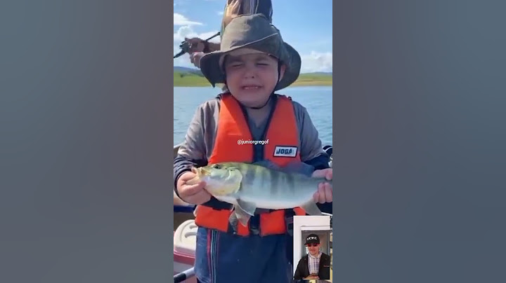O garoto queria levar o peixe | vídeos engraçados para status do WhatsApp | juniorgregof
