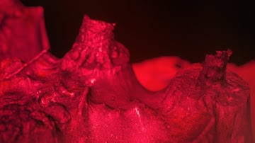 Mass Gothic - How I Love You [OFFICIAL VIDEO]