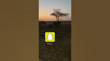 يازول قم رد الحشو المنايح 