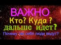 ВАЖНО! АКТУАЛЬНО! КТО КУДА ИДЕТ? ПОЧЕМУ ЛЮДИ так себя ведут? Квантовый переход,эра водолея